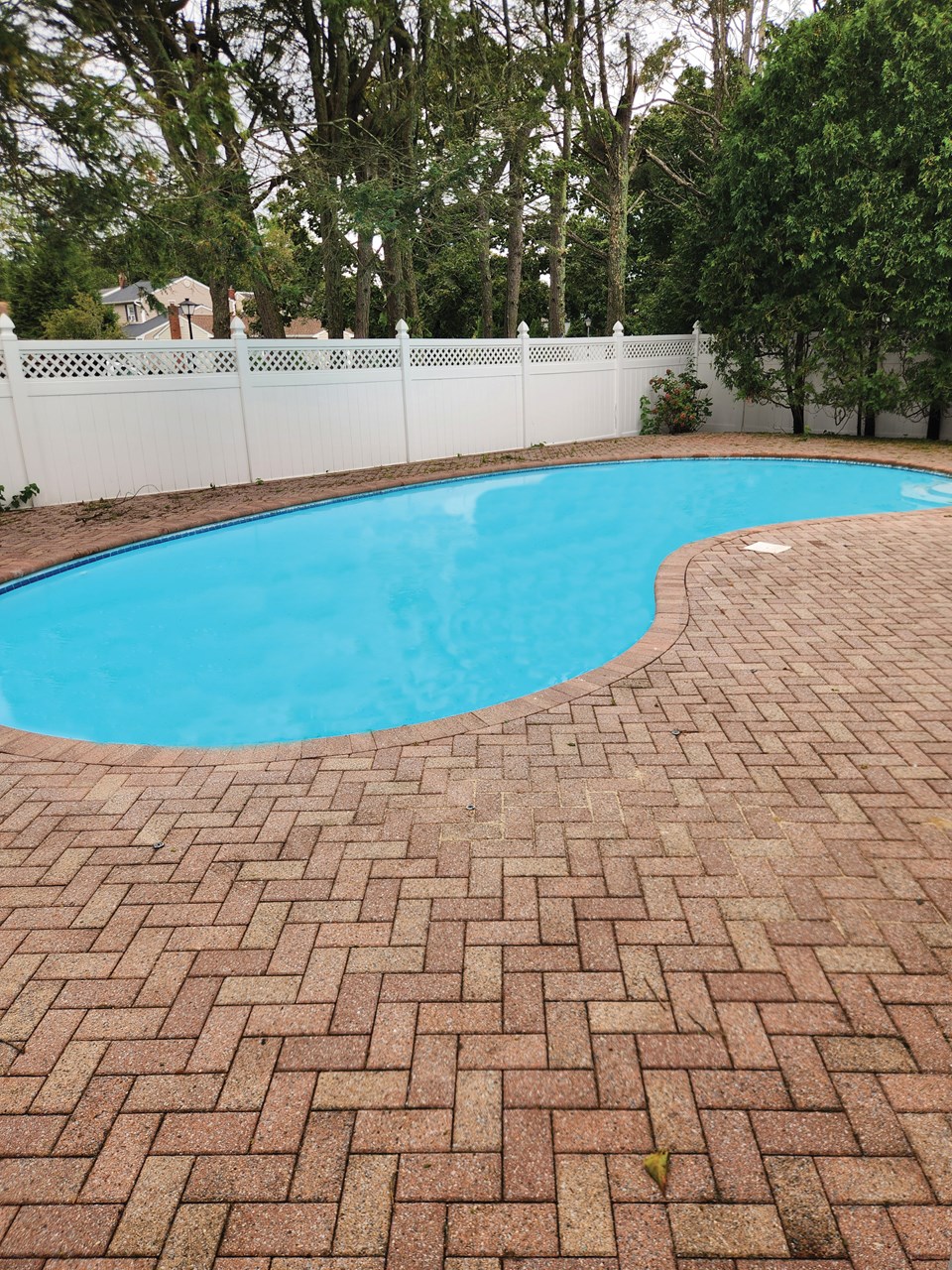 backyard with in-ground  kidney shape gunite pool!